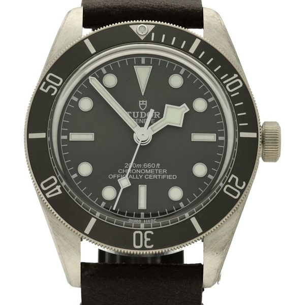 Tudor Black Bay 58 M79010SG-0001